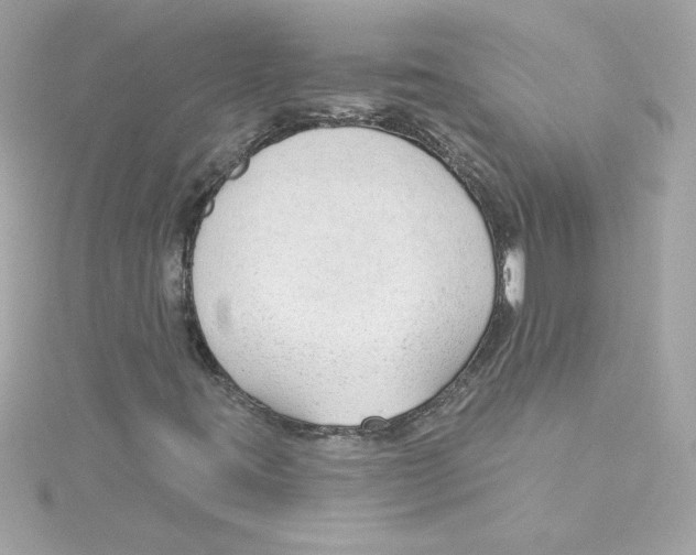 X0000115231395200911271812