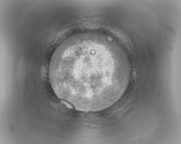 X0000115231397200911271812