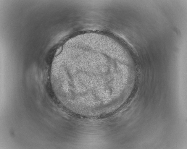 X0000115231399200911271812