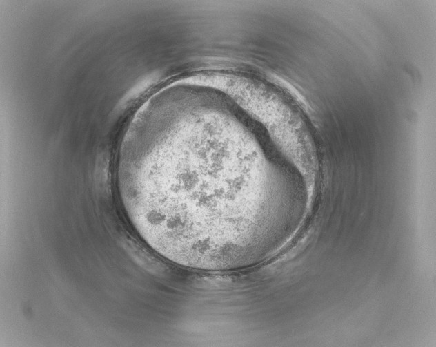 X0000115231403200911271813