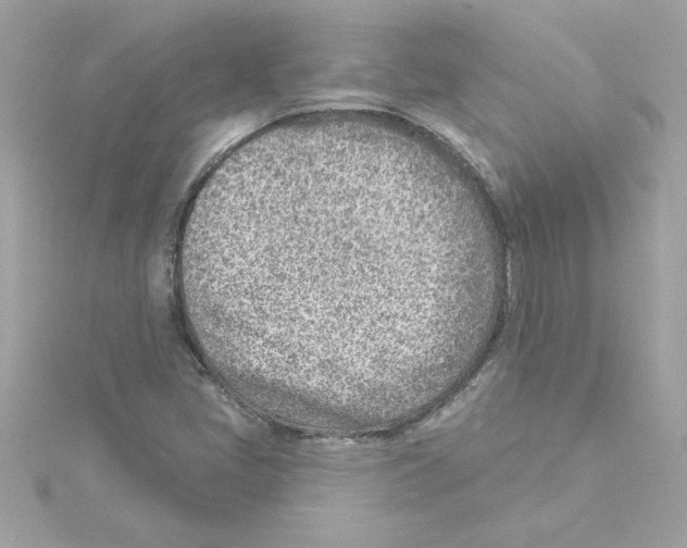 X0000115231405200911271813