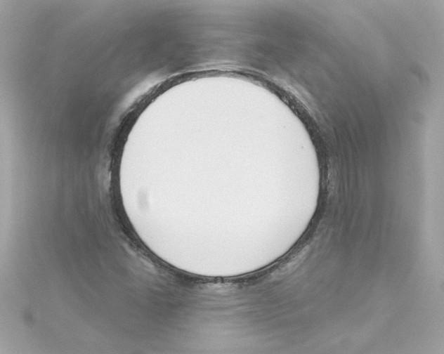 X0000115231406200911271813