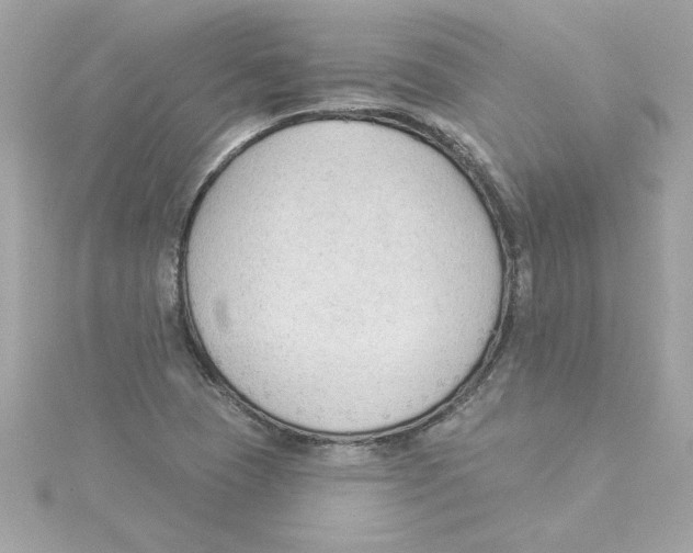 X0000115231409200911271813