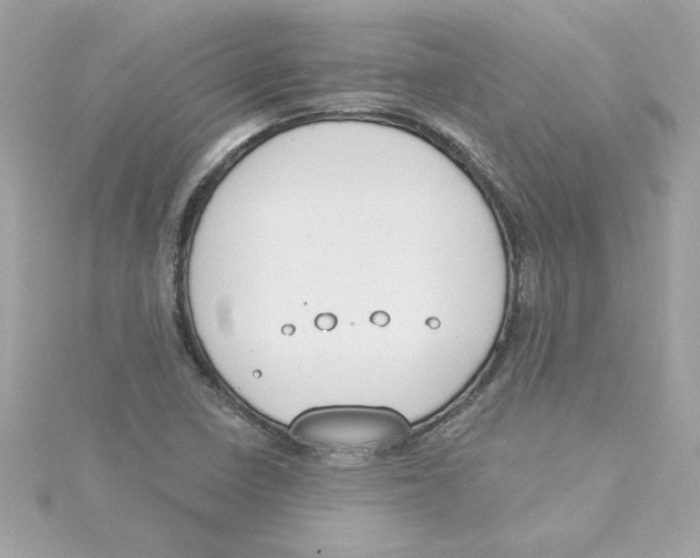 X0000115231410200911271813