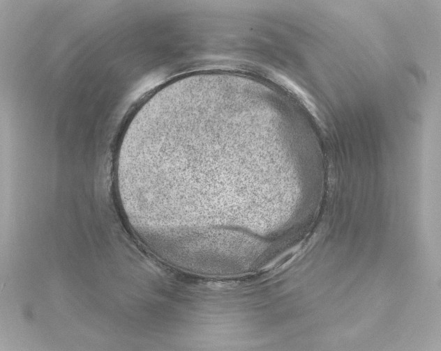 X0000115231411200911271813