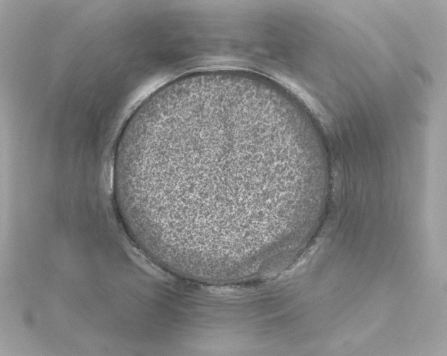 X0000115231413200911271813