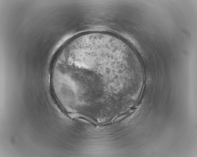 X0000115231414200911271813