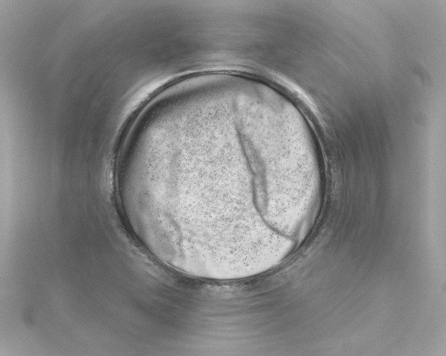 X0000115231415200911271813