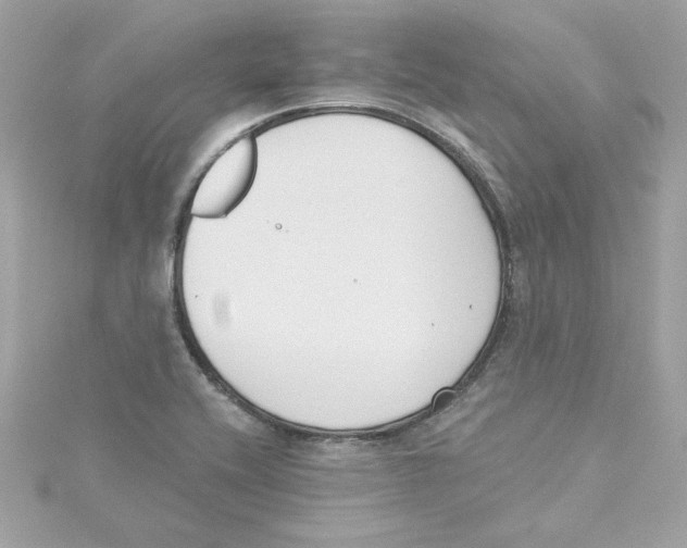 X0000115231416200911271813