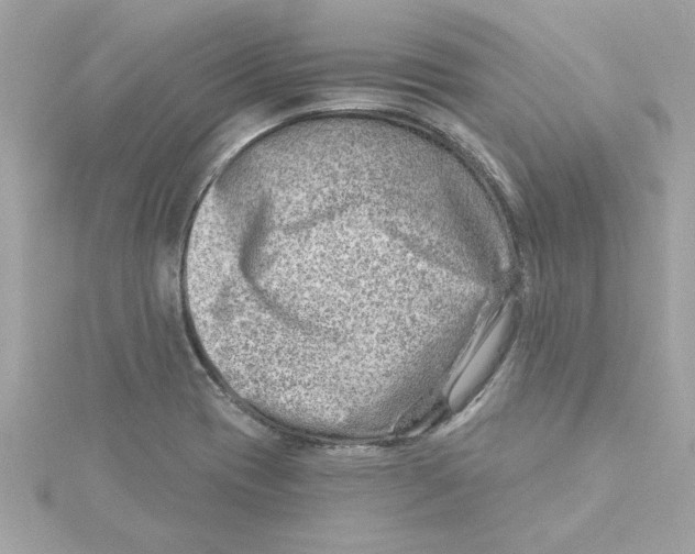 X0000115231417200911271813