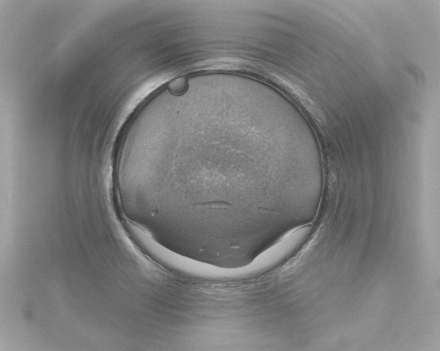 X0000115231418200911271813