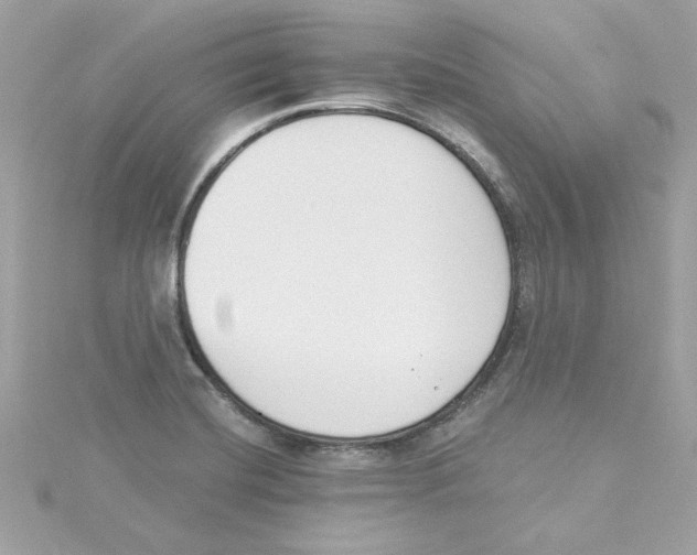 X0000115231420200911271813