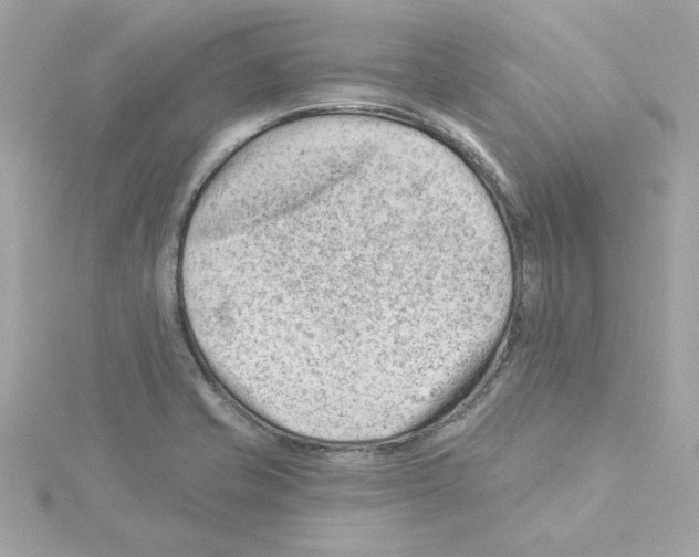 X0000115231421200911271813