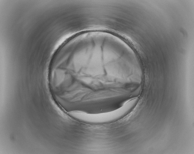 X0000115231422200911271813