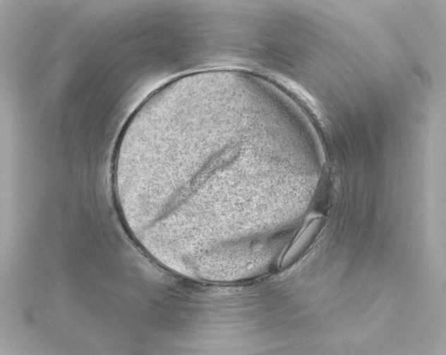 X0000115231423200911271813