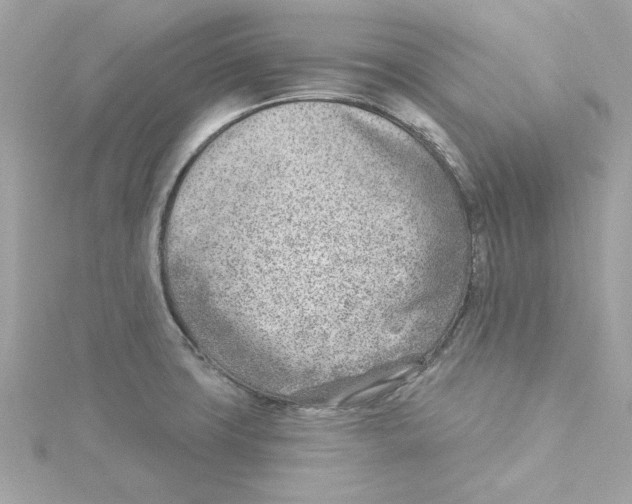 X0000115231427200911271813