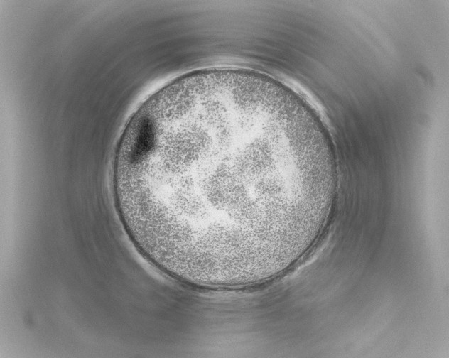 X0000115231429200911271813