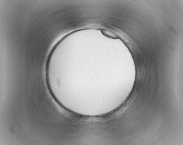 X0000115231430200911271813