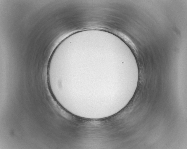 X0000115231431200911271813