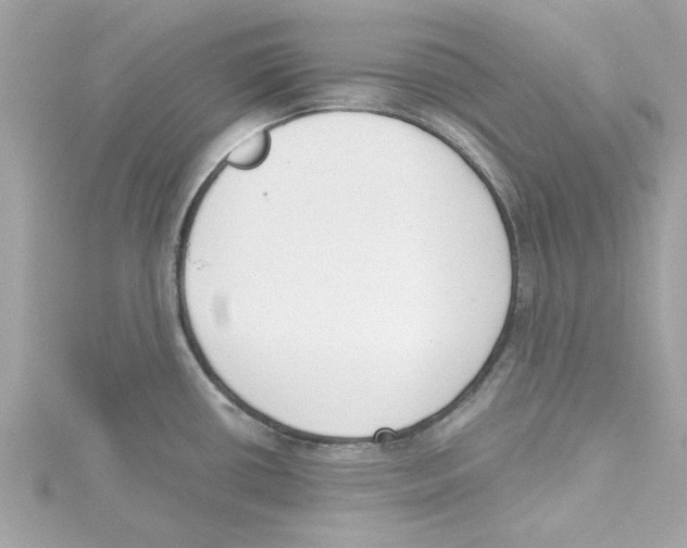 X0000115231434200911271813