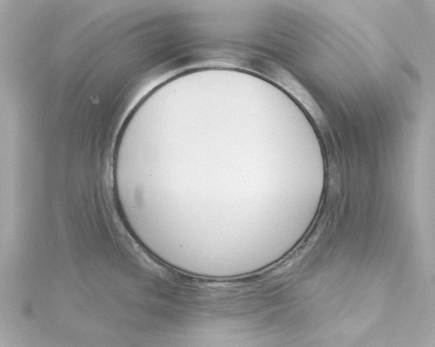 X0000115231436200911271813