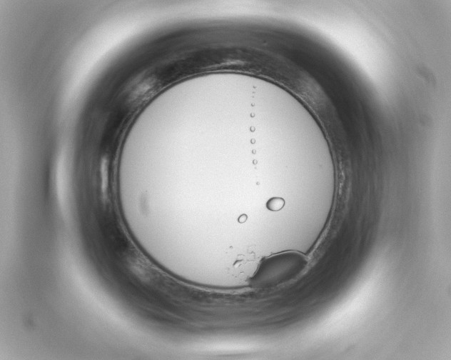 X0000115231439200911271813