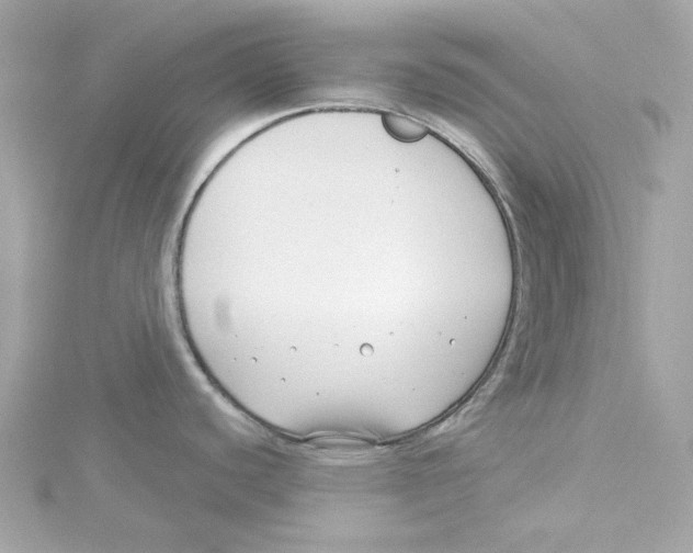 X0000115231440200911271813