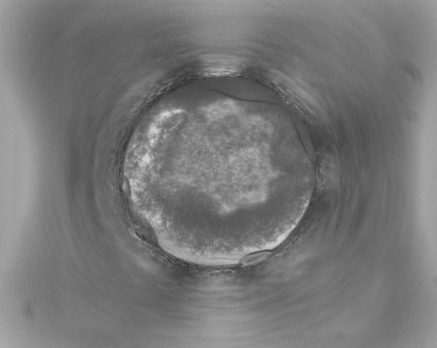 X0000115231441200911271812