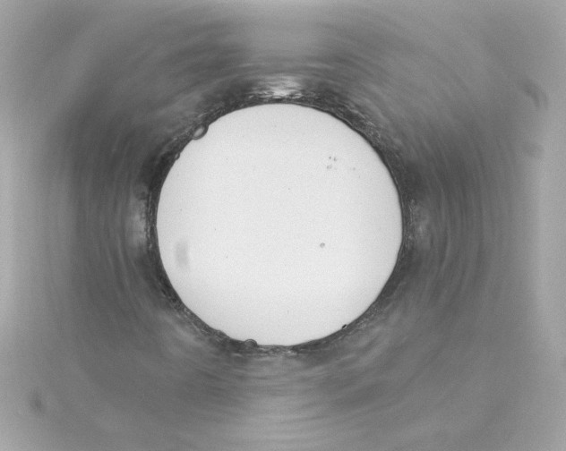 X0000115231442200911271812