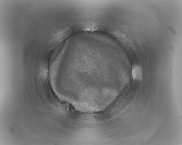 X0000115231444200911271812