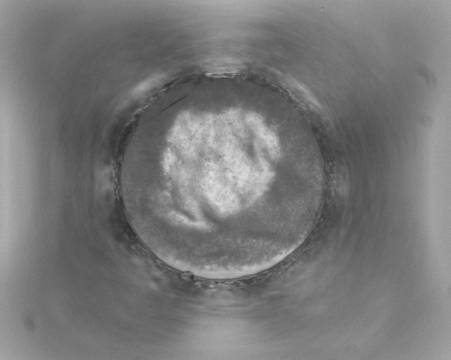 X0000115231445200911271812