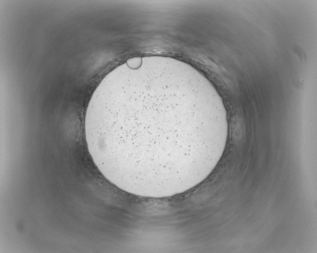 X0000115231446200911271812