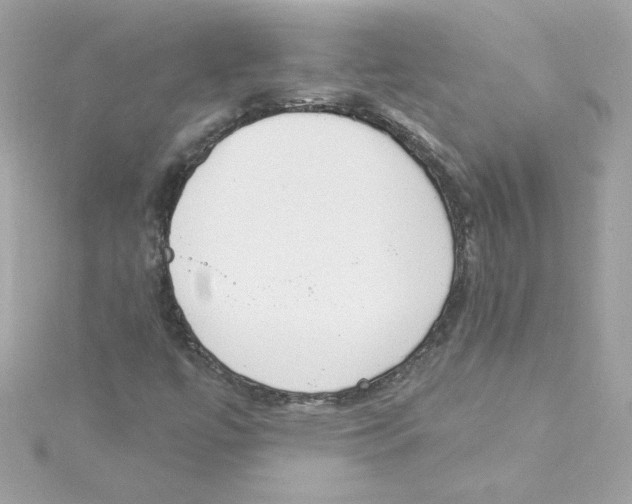 X0000115231447200911271812