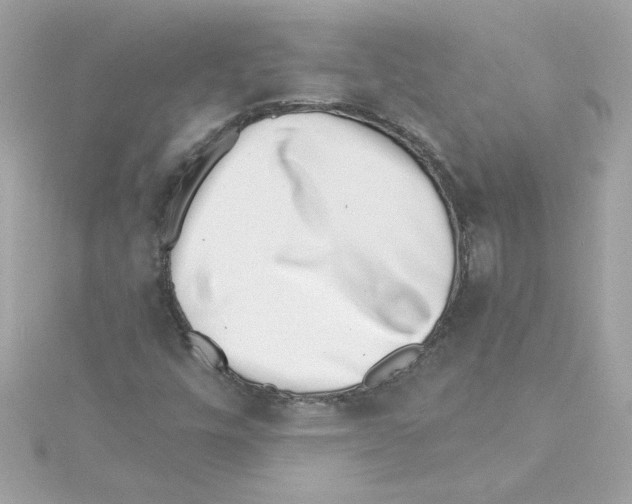 X0000115231448200911271812