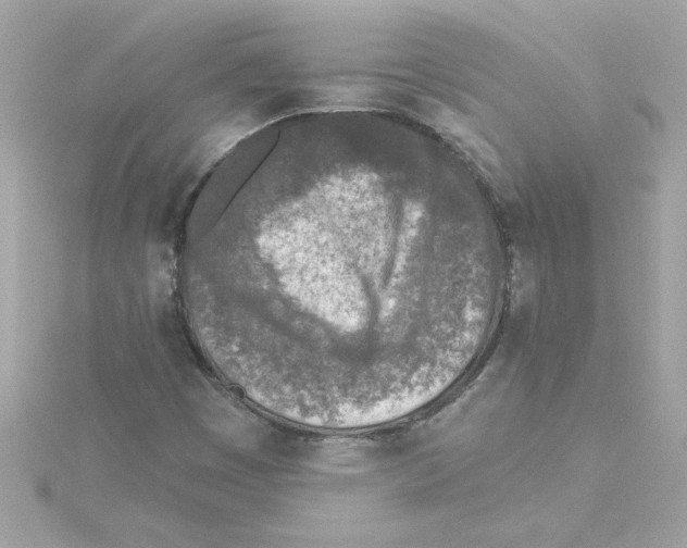 X0000115231449200911271812