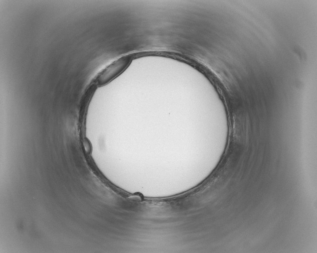 X0000115231452200911271812