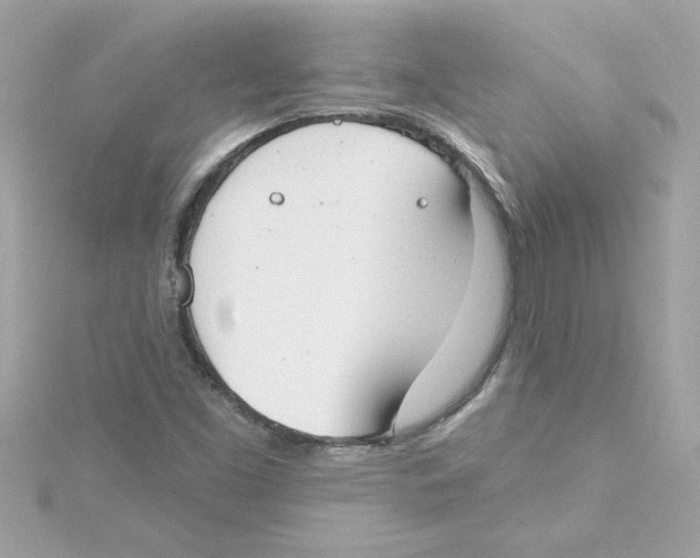 X0000115231453200911271812