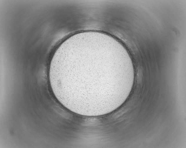 X0000115231454200911271812