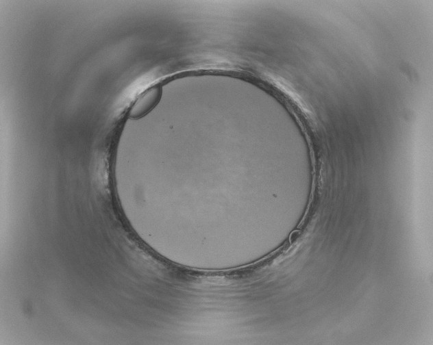 X0000115231455200911271812