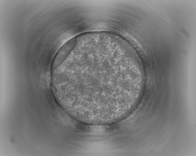 X0000115231457200911271812