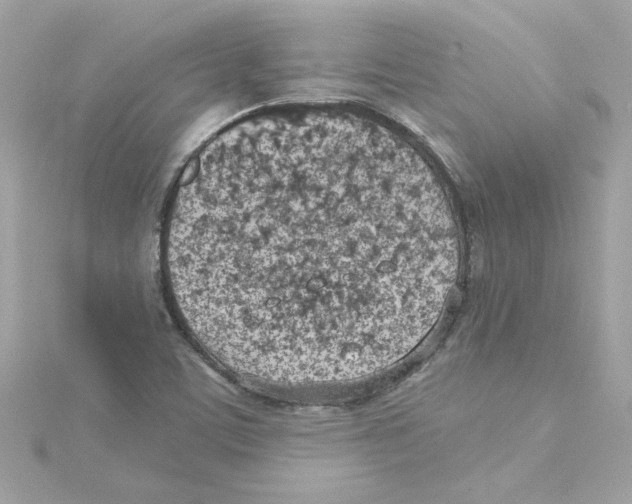 X0000115231459200911271812