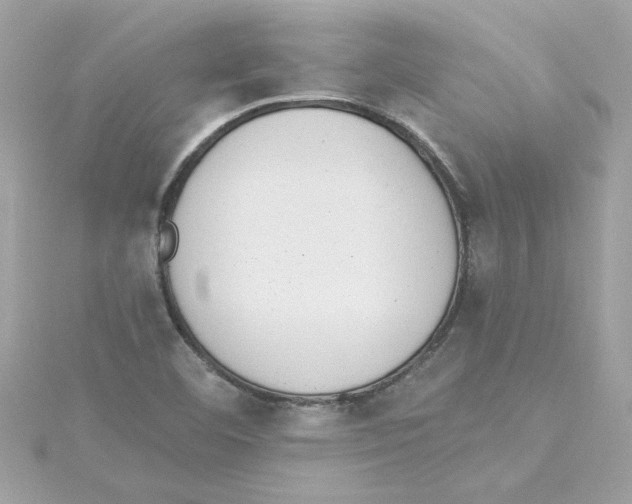 X0000115231460200911271812