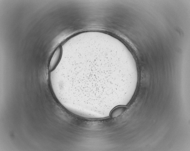 X0000115231461200911271812