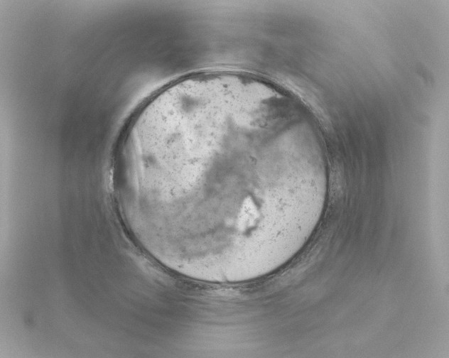 X0000115231462200911271812