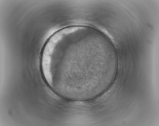 X0000115231463200911271812