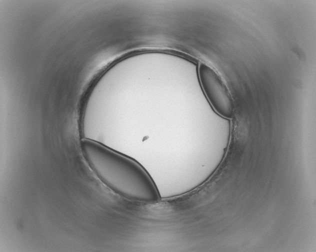 X0000115231464200911271812