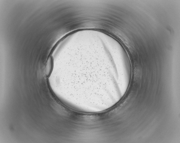 X0000115231465200911271812