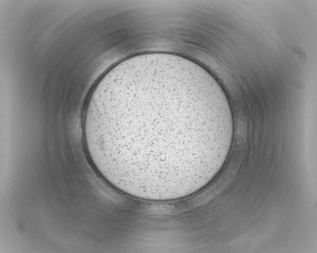 X0000115231466200911271812