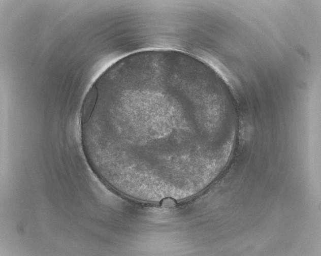 X0000115231468200911271812