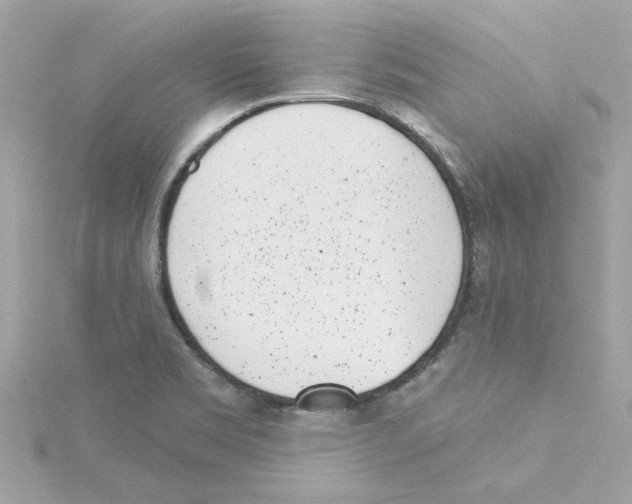 X0000115231469200911271812